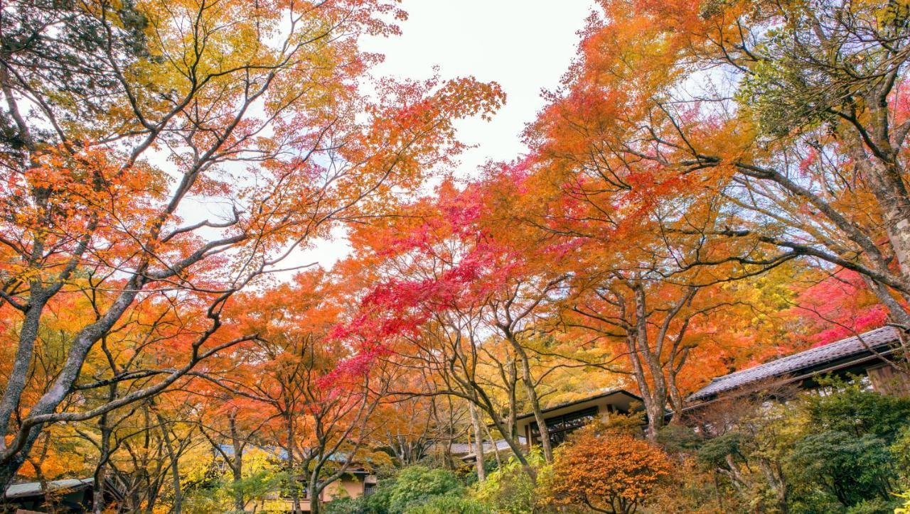 Gora Kansuiro ฮาโกเน่ ภายนอก รูปภาพ